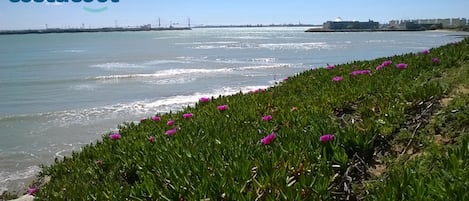 Vista a la bahia de Cádiz