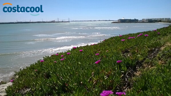 Vista a la bahia de Cádiz