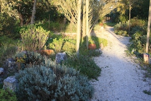 Main garden, aromatic