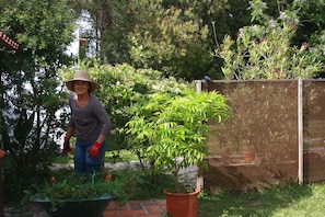Gardening