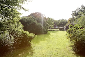 View from the middle of garden to top