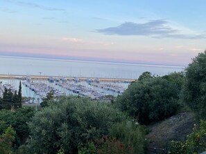 Vue sur la plage/l’océan