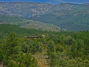 House set in landscape