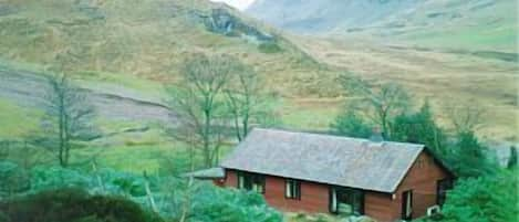 The cottage and its lush green surroundings