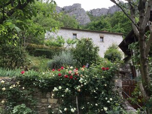 Outside view - garden