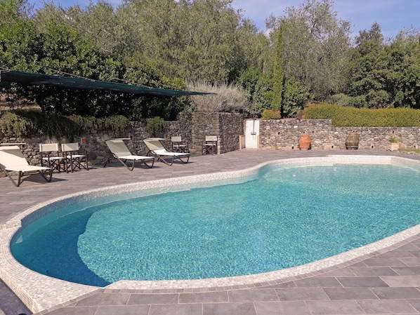 Lovely swimming pool with high quality pool furniture, surrounded by olive trees