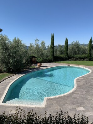 graduated steps into the pool