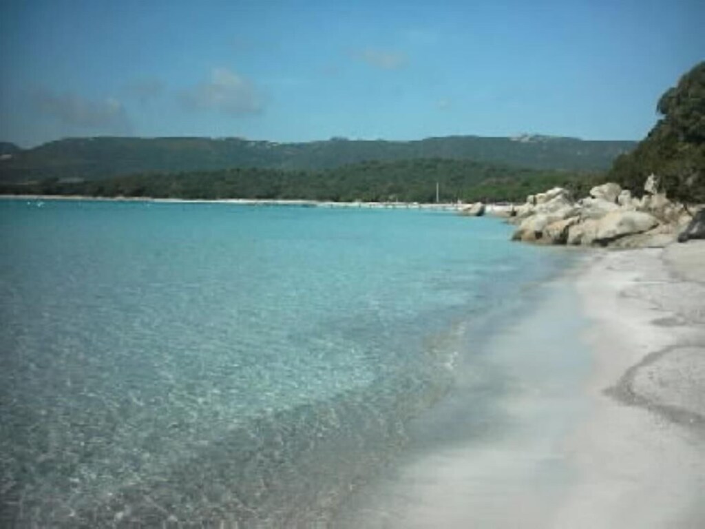 Mini Villa Baie De Santa Giulia Pieds Dans L Eau Grand Confort Porto Vecchio