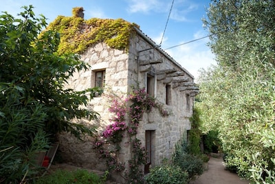 Authentic Corsican house