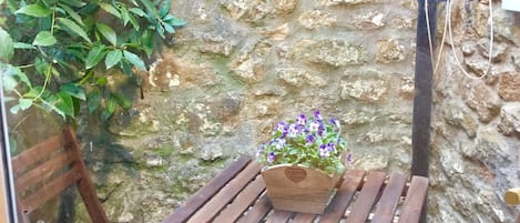 Courtyard garden