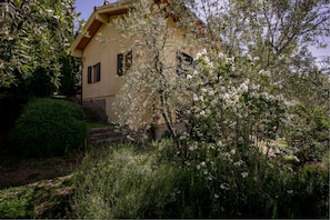 Esterni