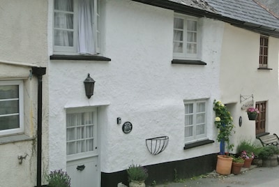 Traditionelles Devon Cottage in der Nähe der Mündung des Flusses Dart. Haustierfreundlich. Gratis Wifi.