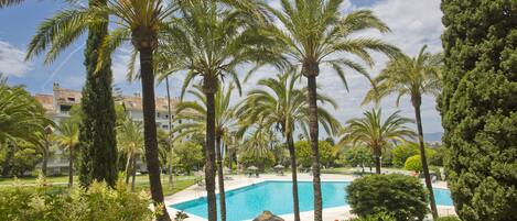 There are 2 pools at Torre Real. This one is larger than Olympic size.