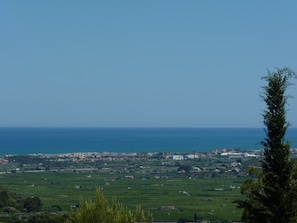 Views across orange groves to sea 
