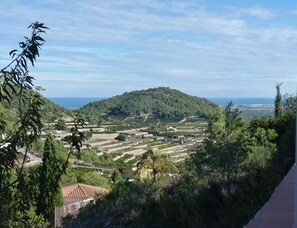 Views across orange groves to sea