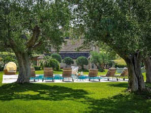 view of the pool from the olive grove