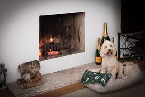 Why not have a change of scenery, log fire and dream location 4 fury companions 