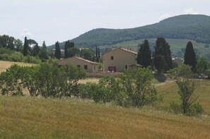 Overview