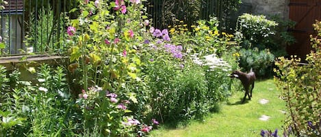 Jardines del alojamiento