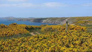 Coast Path - five minutes' walk from Llanunwas