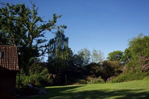 May rhododendrons.