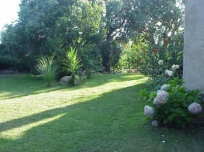 Garden, Park