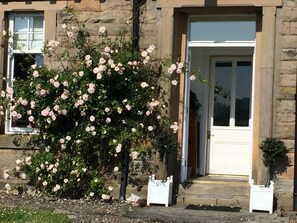 Roses at the front door 