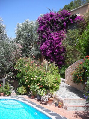 The cottage hidden by flowers