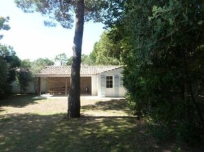 Garden, Park