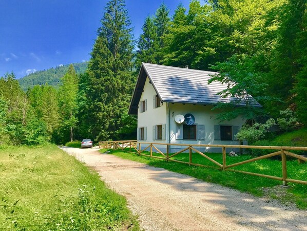 Exteriör