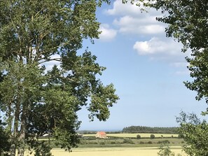 Boendeområde