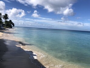 View from the patio