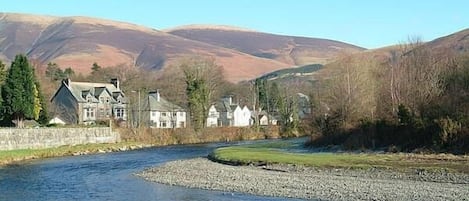 View from cottage