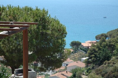 Picture of villa