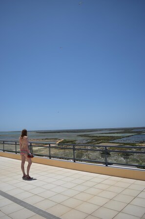 Lucy enjoying the view from the roof top.