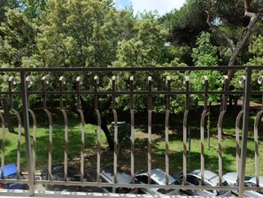 Kiefernwald Blick vom Wohnzimmer Terrasse