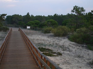 The view from the beach towards the villa