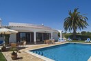 Villa Camena: large palm tree and outdoor furniture next to the pool