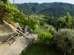 jardin avec vue