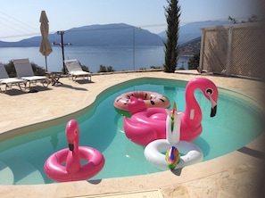 Pool with view (and  toys!)