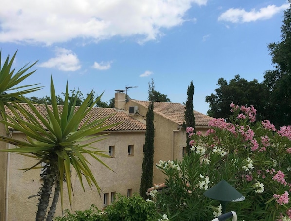 View of the house from the pool