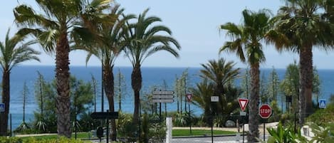 Vue depuis la terrasse