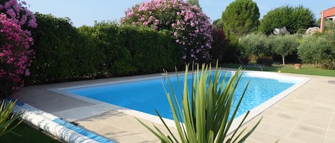 Grande piscine 5 mètres sur 10 mètres plus escaliers.