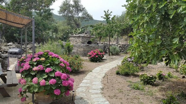 Jardines del alojamiento