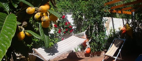 Garden, bright terrace, veranda, pergola,with swing-chair, ammack, table & seats