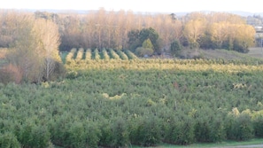 Panorama sur les vergers depuis le jardin