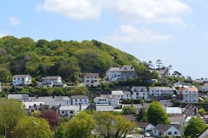 View from decking