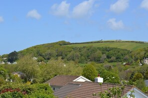 View from decking