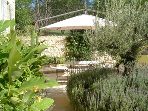 Front garden