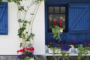 Floral detail